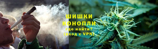 сатива Кущёвская