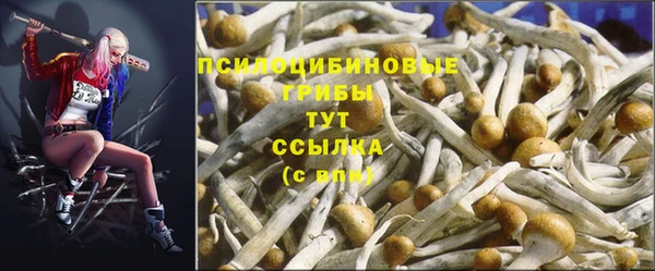 кокаин колумбия Алексин