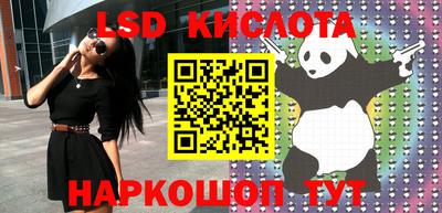 jwh Кингисепп