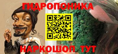 шишки Кинель
