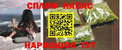 jwh Кингисепп