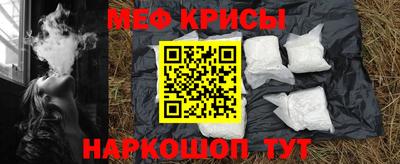 jwh Кингисепп