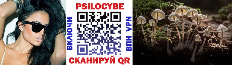 купить   Истра  Псилоцибиновые грибы прущие грибы 