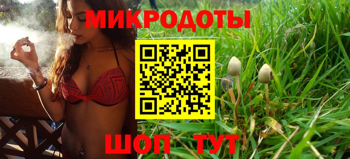 Псилоцибиновые грибы GOLDEN TEACHER  Псилоцибиновые грибы ЛСД  Вход с VPN  купить наркотик  Истра 